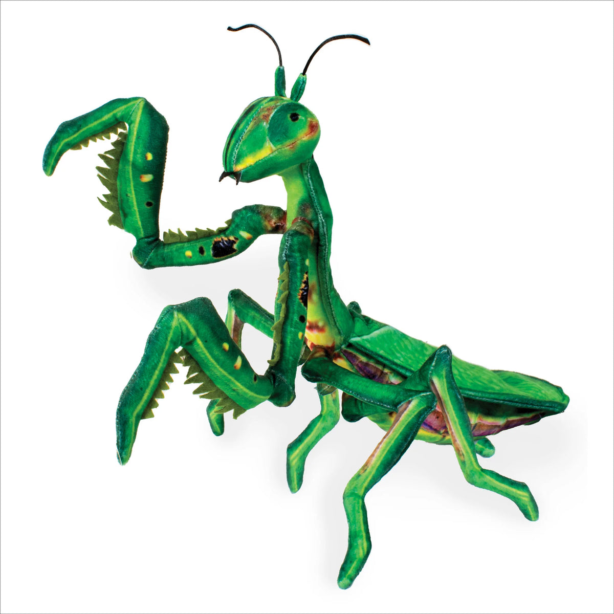 Praying Mantis Plush 17