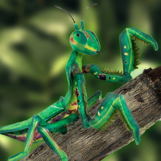 Tomfoolery Toys | Praying Mantis Plush 17