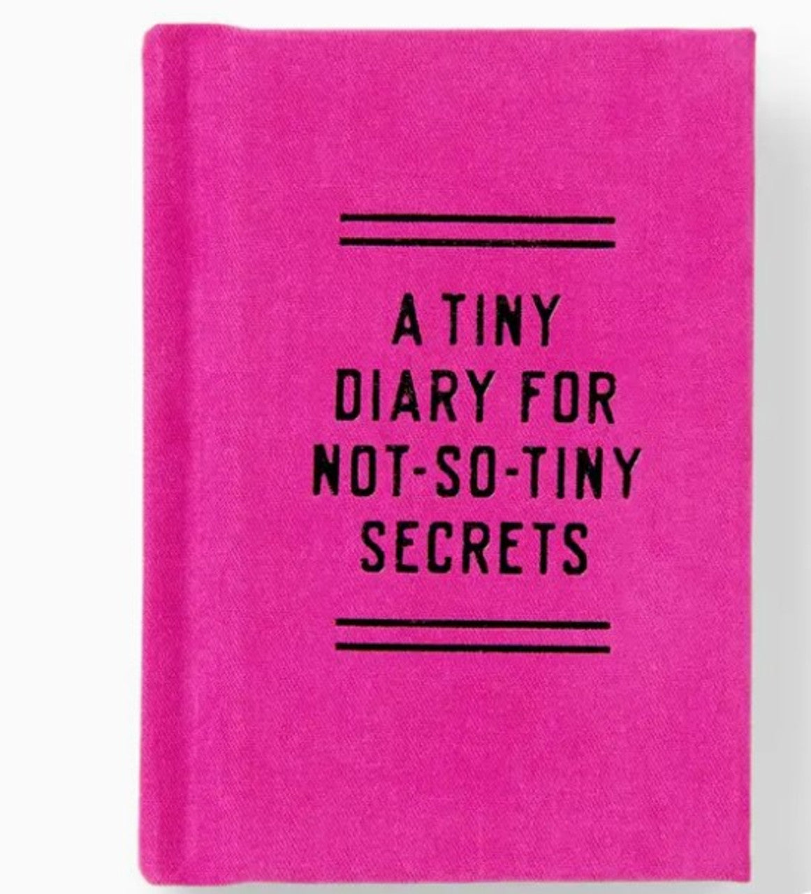 Tiny Diary for Not So Tiny Secrets Cover