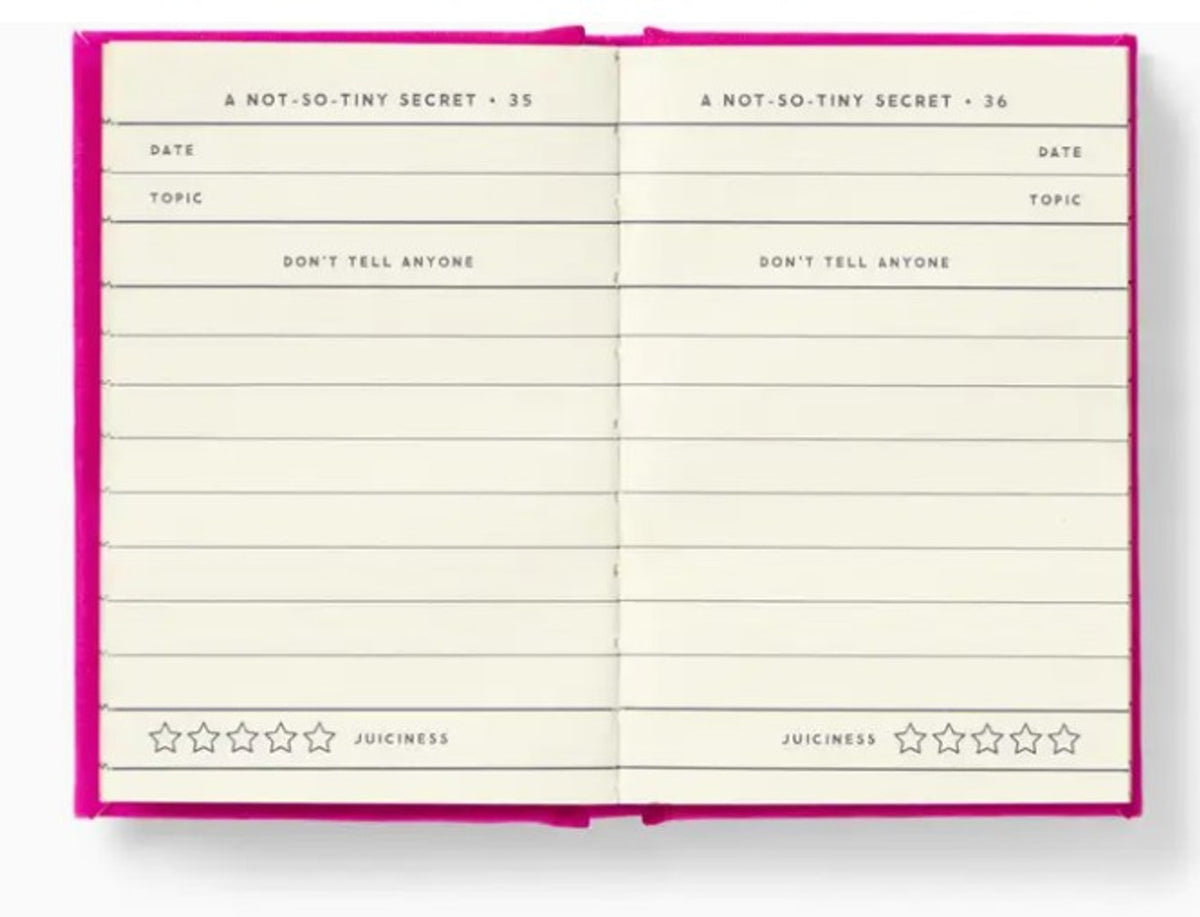 Tiny Diary for Not So Tiny Secrets Cover