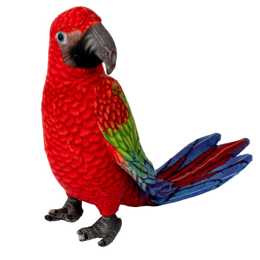 Tomfoolery Toys | Parrot 12