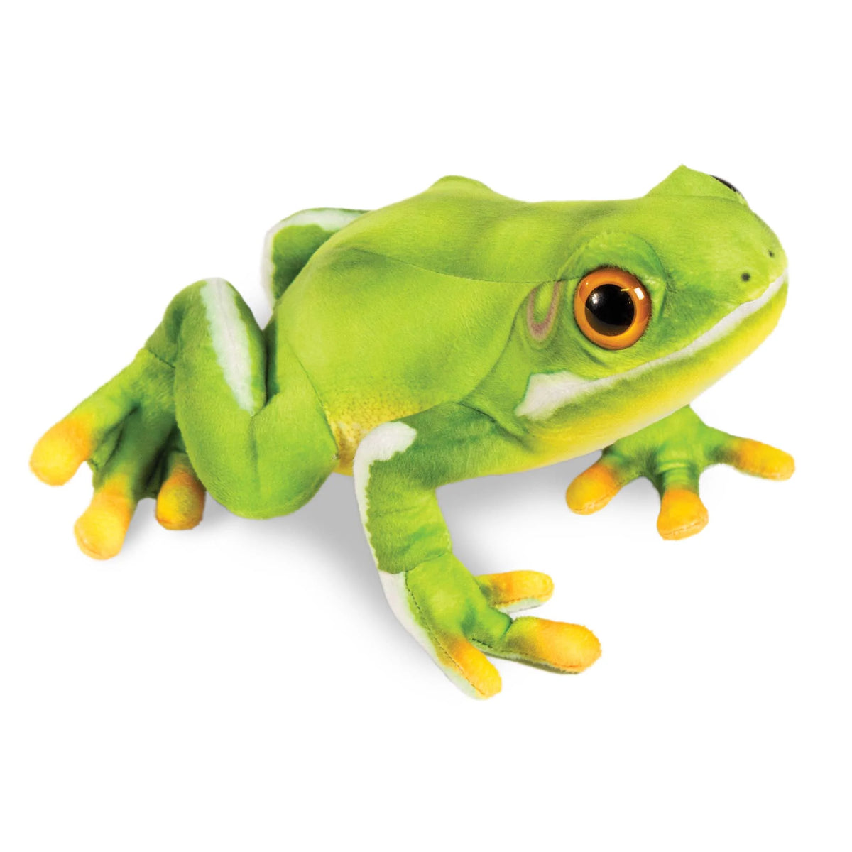 Green Hyla Frog 11.5 