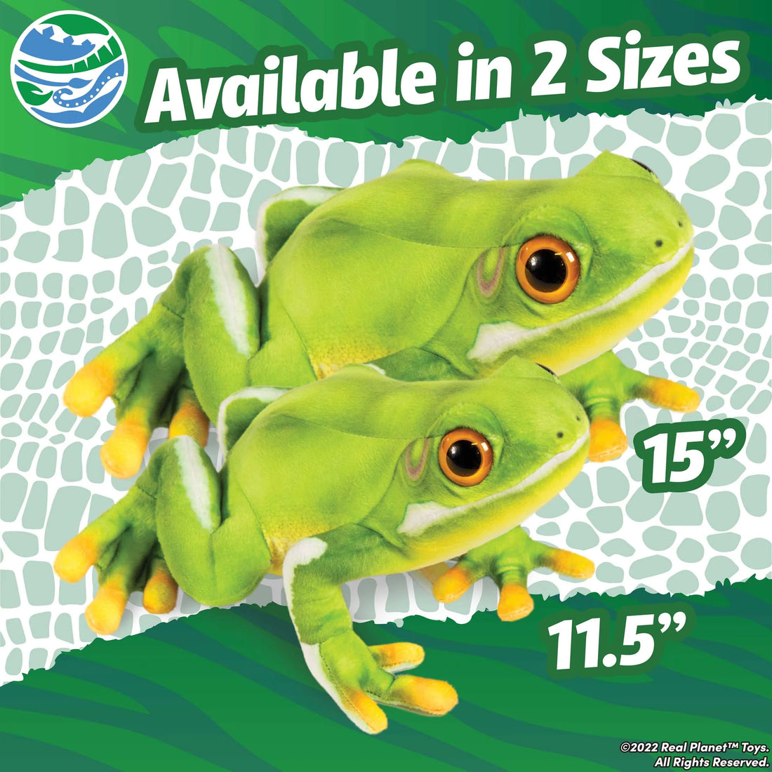 Green Hyla Frog 11.5 