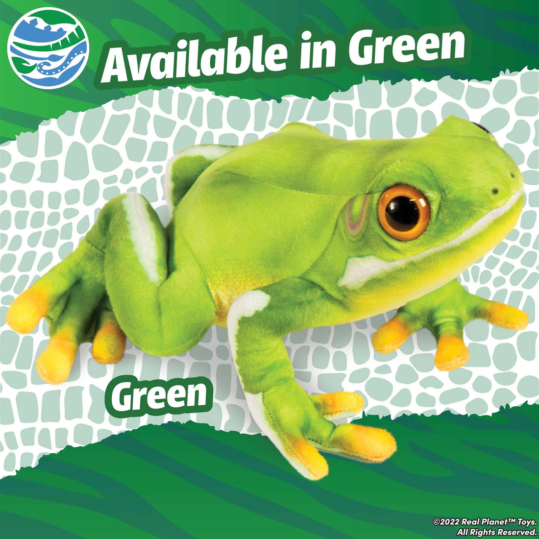 Green Hyla Frog 11.5 