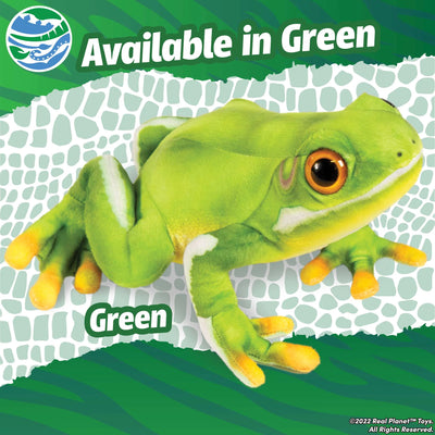 Green Hyla Frog 11.5 