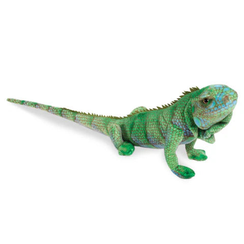 Blue Iguana 33.5