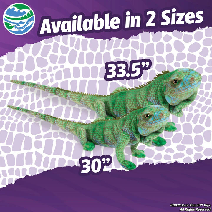 Blue Iguana 33.5