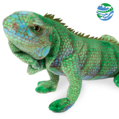Blue Iguana 33.5