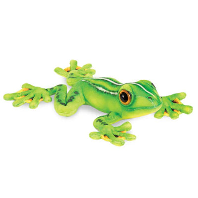 Tree Frog 19
