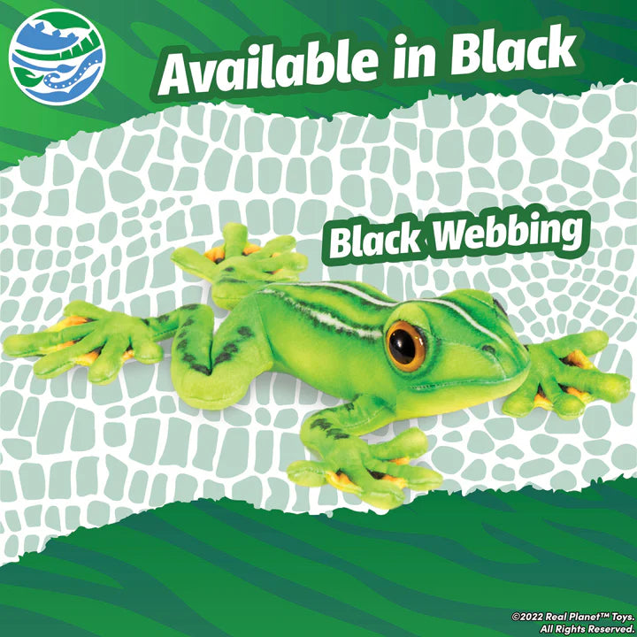 Tree Frog 19
