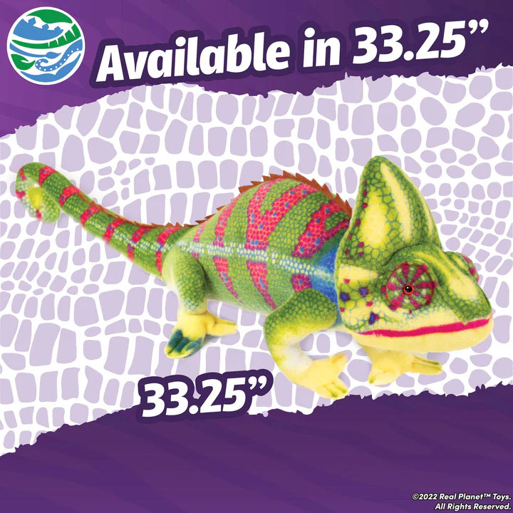 Yemen Chameleon 33.25