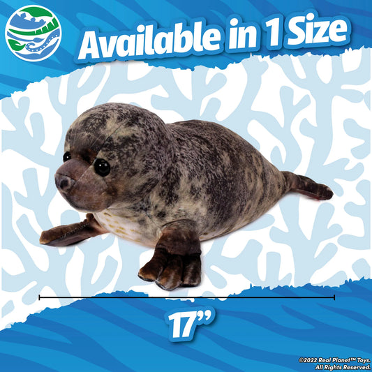 Tomfoolery Toys | Sea Lion Pup Plush 17