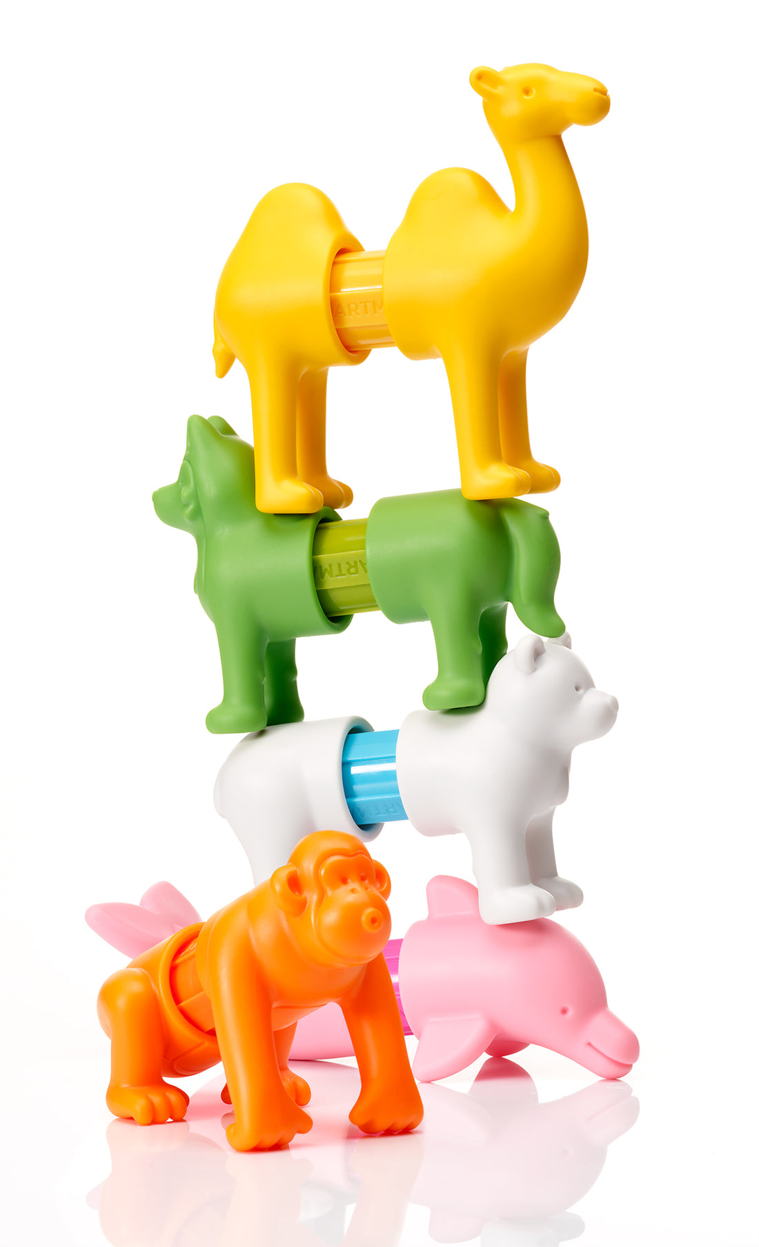 My First Animals Around the World Preview #3