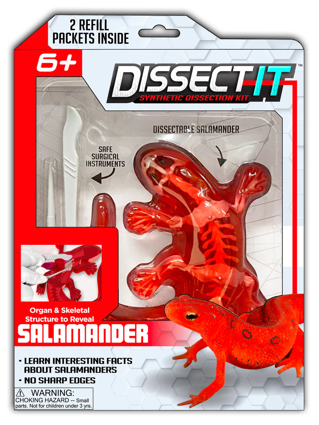 Dissect-It Salamander Lab Cover