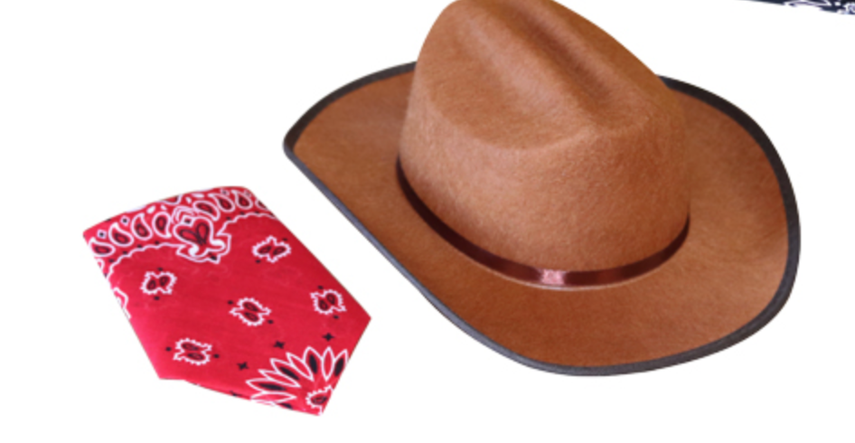 Tomfoolery Toys | Jr. Cowboy Hats w/ Bandannas
