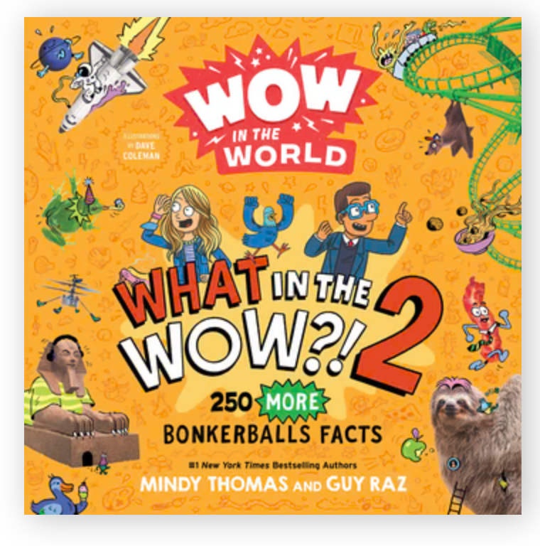 Wow in the World: What in the WOW?! 2 Cover