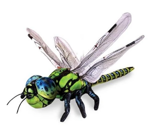 Tomfoolery Toys | Dragonfly 16