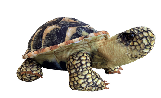 Tomfoolery Toys | Desert Tortoise 13