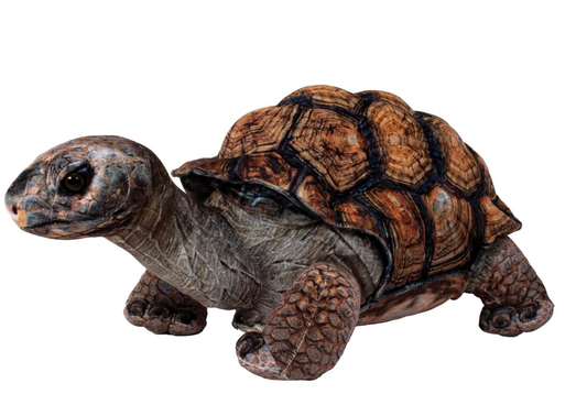 Tomfoolery Toys | Desert Tortoise 18