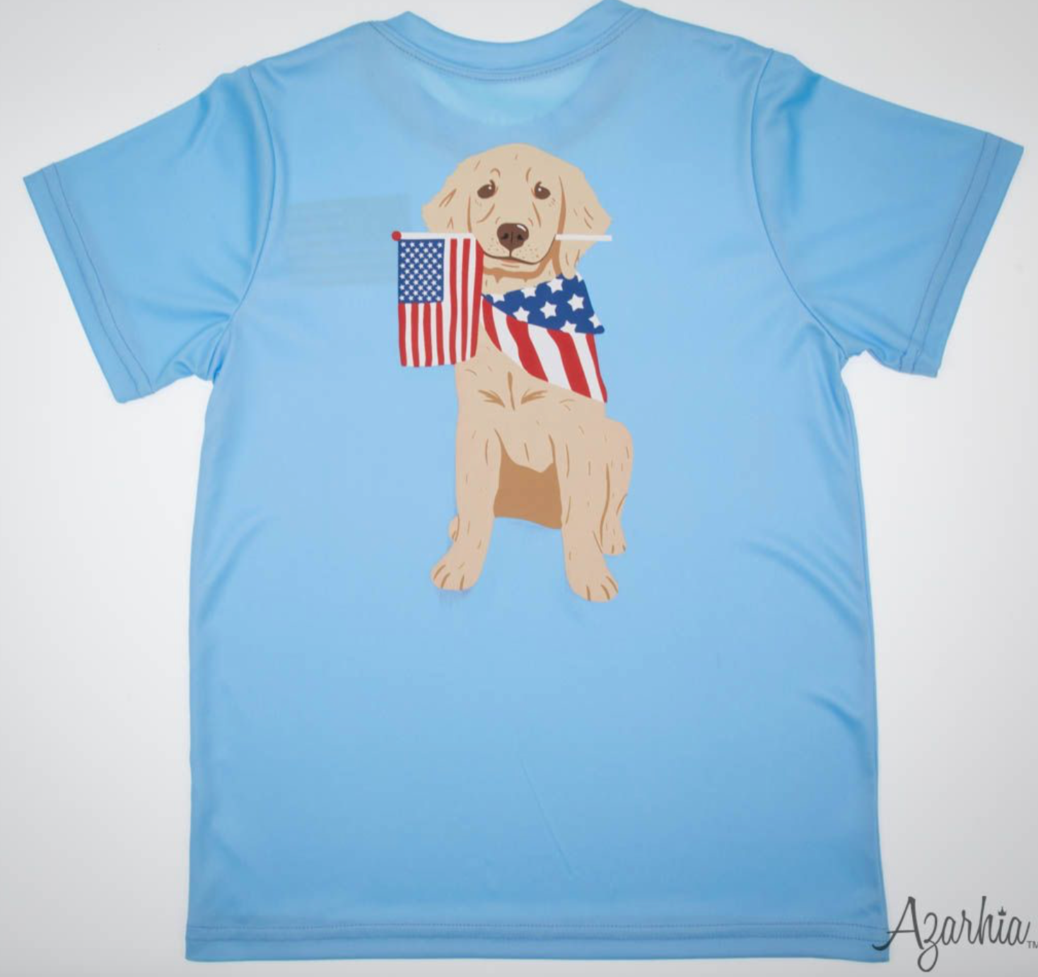 Tomfoolery Toys | Patriotic Lab Dri Fit Tee
