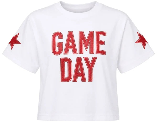 Game Day Shimmer Applique GD Boxy RED Cover