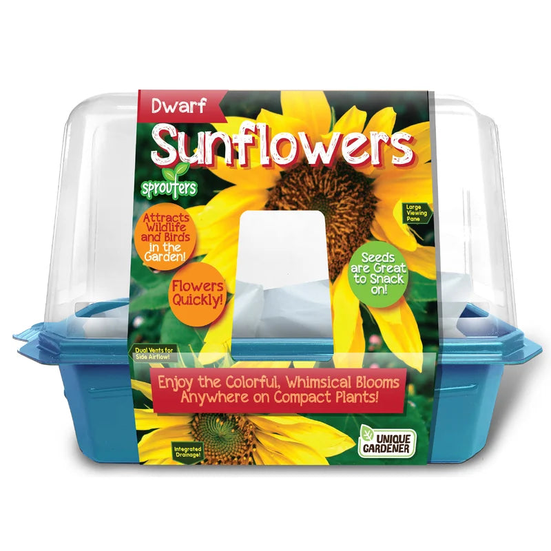 Dwarf Sunflowers Cover