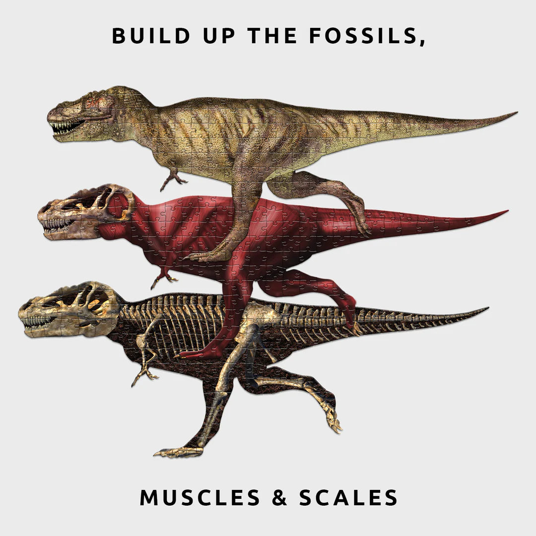 T-Rex Layer Puzzle Preview #4