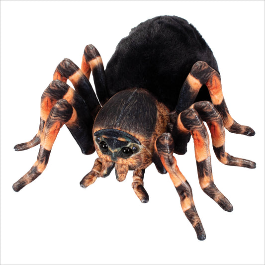 Tomfoolery Toys | Furry Tranantula Plush 9