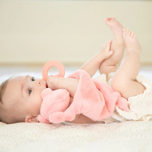 Teether Buddy Assorted Cover