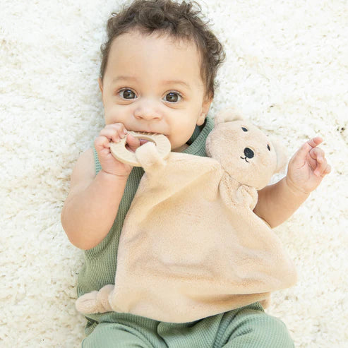 Teether Buddy Assorted Cover