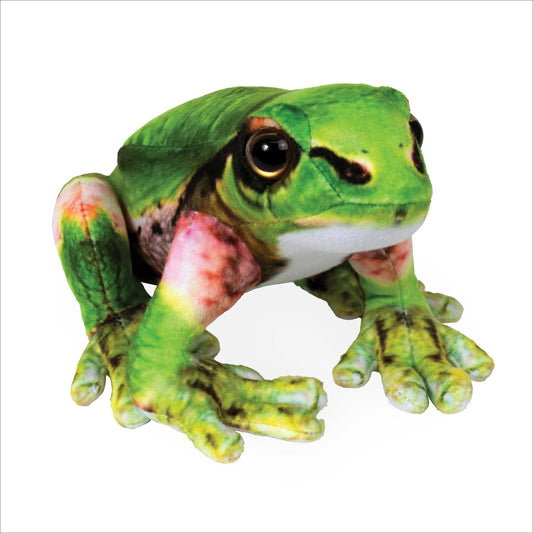 Tomfoolery Toys | Japanese Tree Frog 8