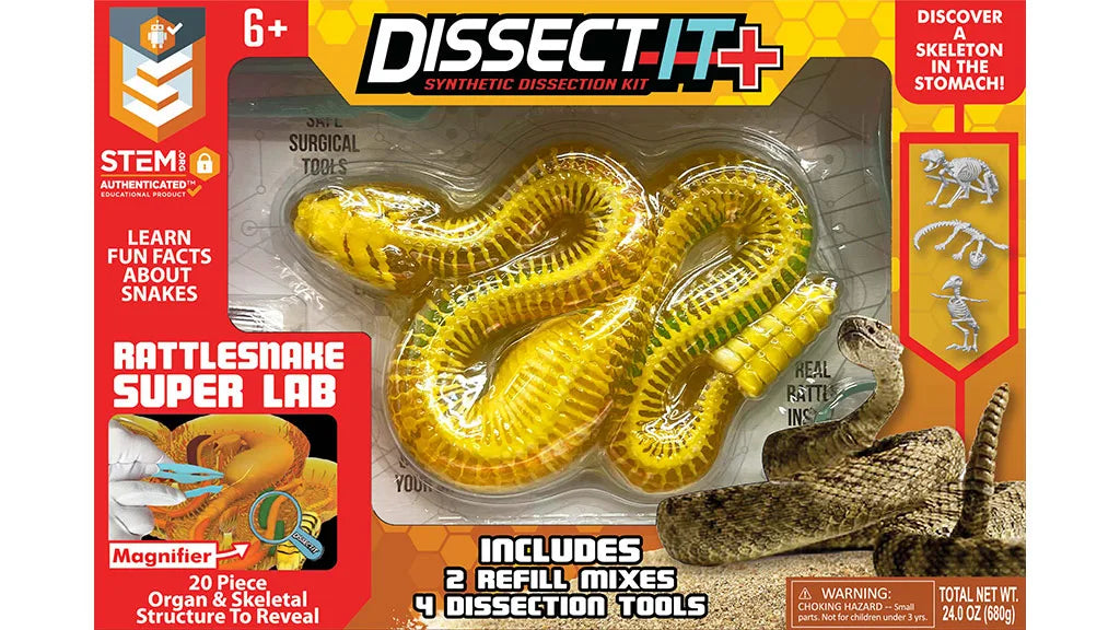 Tomfoolery Toys | Dissect-It Rattle Snake Super Lab
