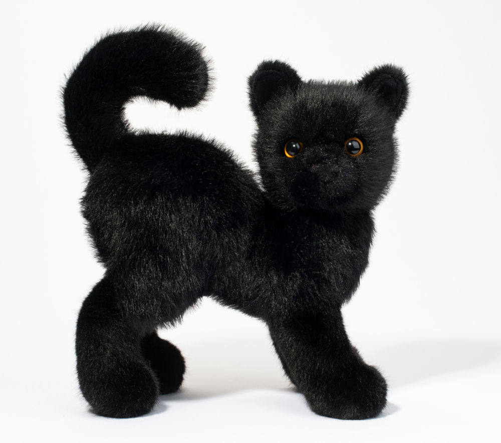Scaredy Black Cat Cover