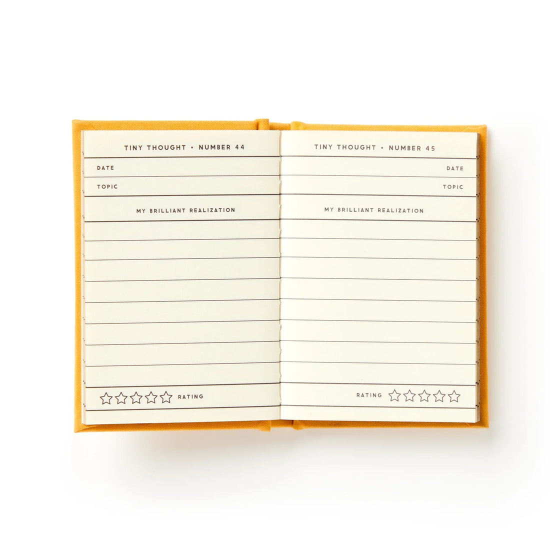 A Tiny Diary for Tiny Thoughts Preview #3