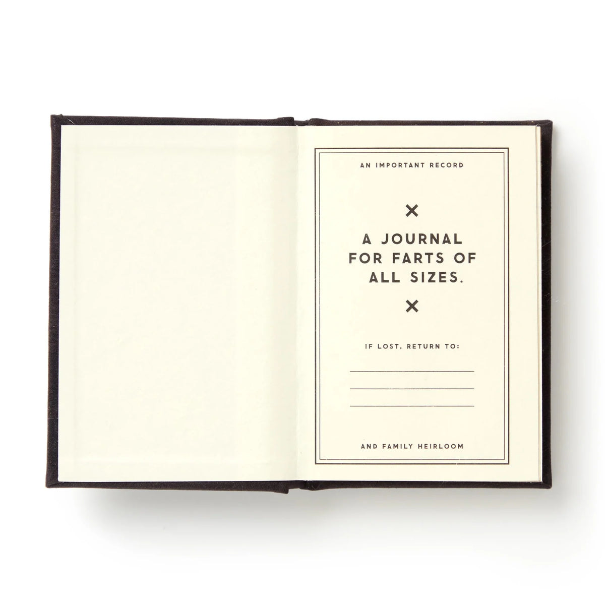 A Tiny Fart Diary Cover