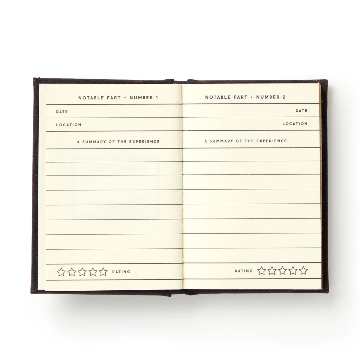 A Tiny Fart Diary Cover