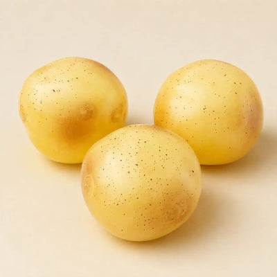 Coconut Oil Potato Squishy Preview #4