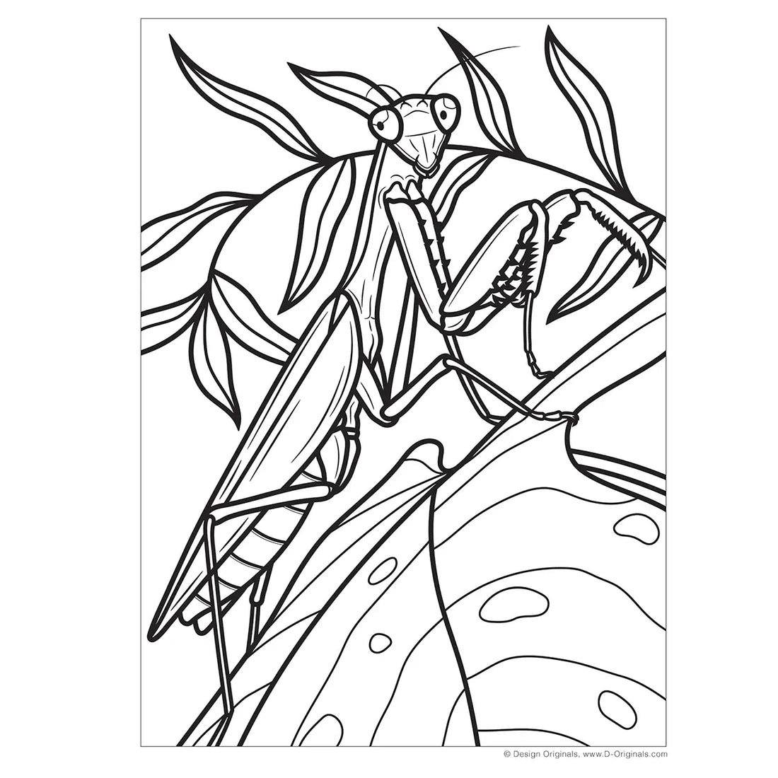 Super Cool Bugs & Spiders Coloring Book Preview #3