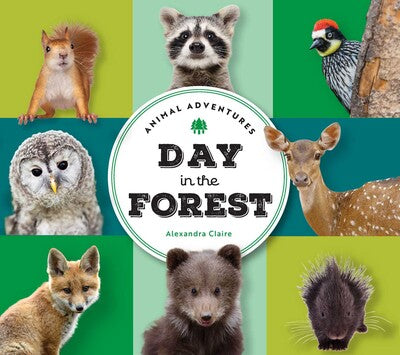 Tomfoolery Toys | Animal Adventures: Day in the Forest