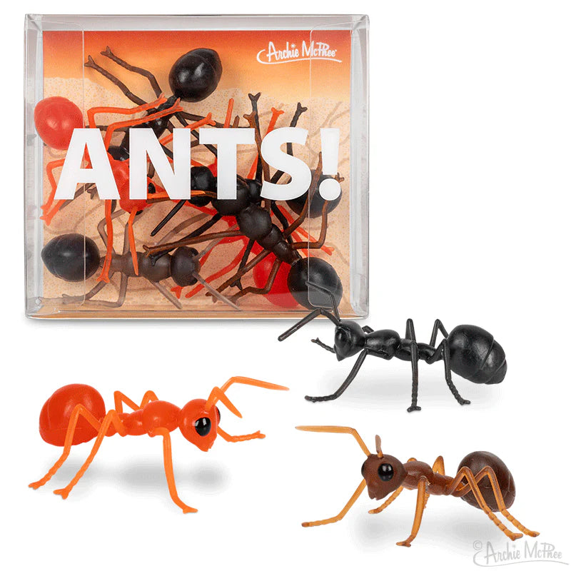 Ants! Cover