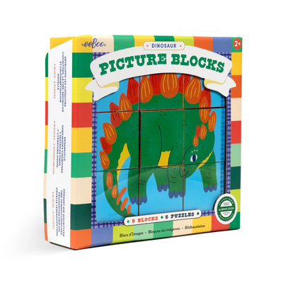 Dinosaur Picture Blocks Preview #2