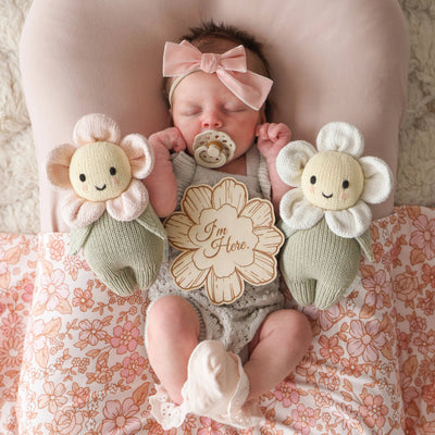 Baby Daisy, Blush Pink Preview #7