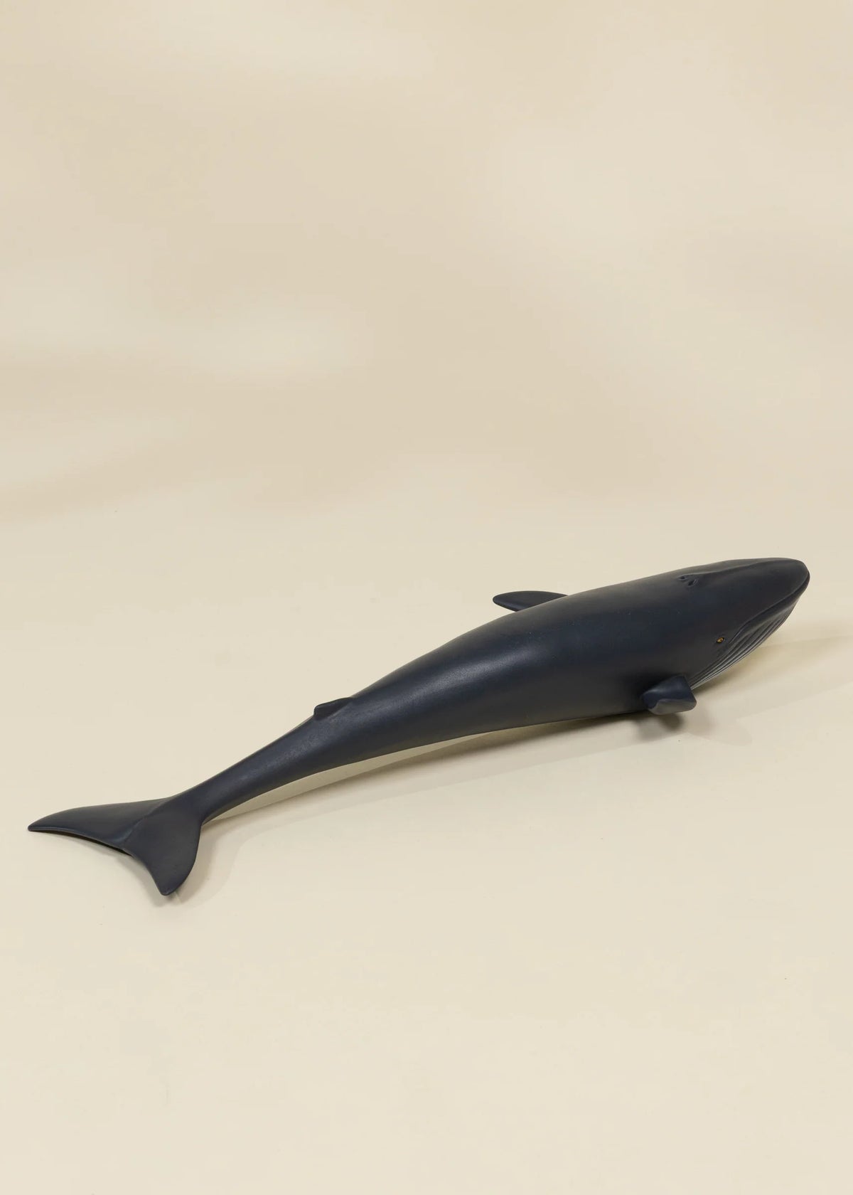 Sea Life Animal Play Figurines Cover