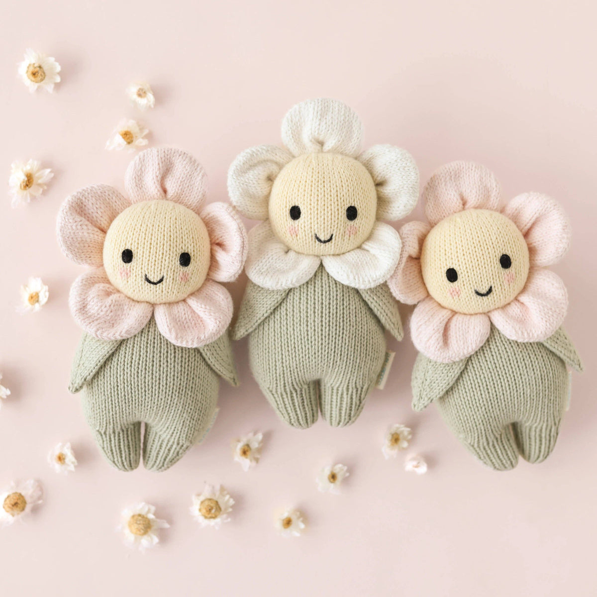 Baby Daisy, Blush Pink Cover