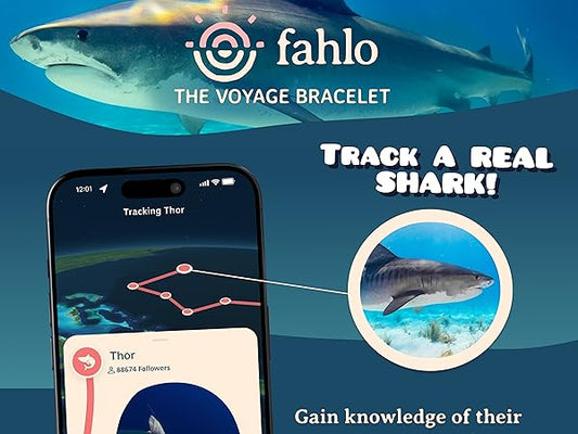 Tomfoolery Toys | The Voyage Bracelet (Shark Week Edition)