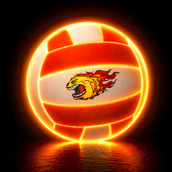 Real Feel Volley Ball, White & Orange Cover