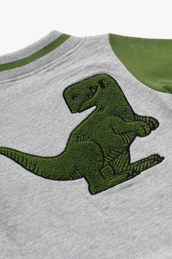 Dinos Zip Bomber Jacket Cover