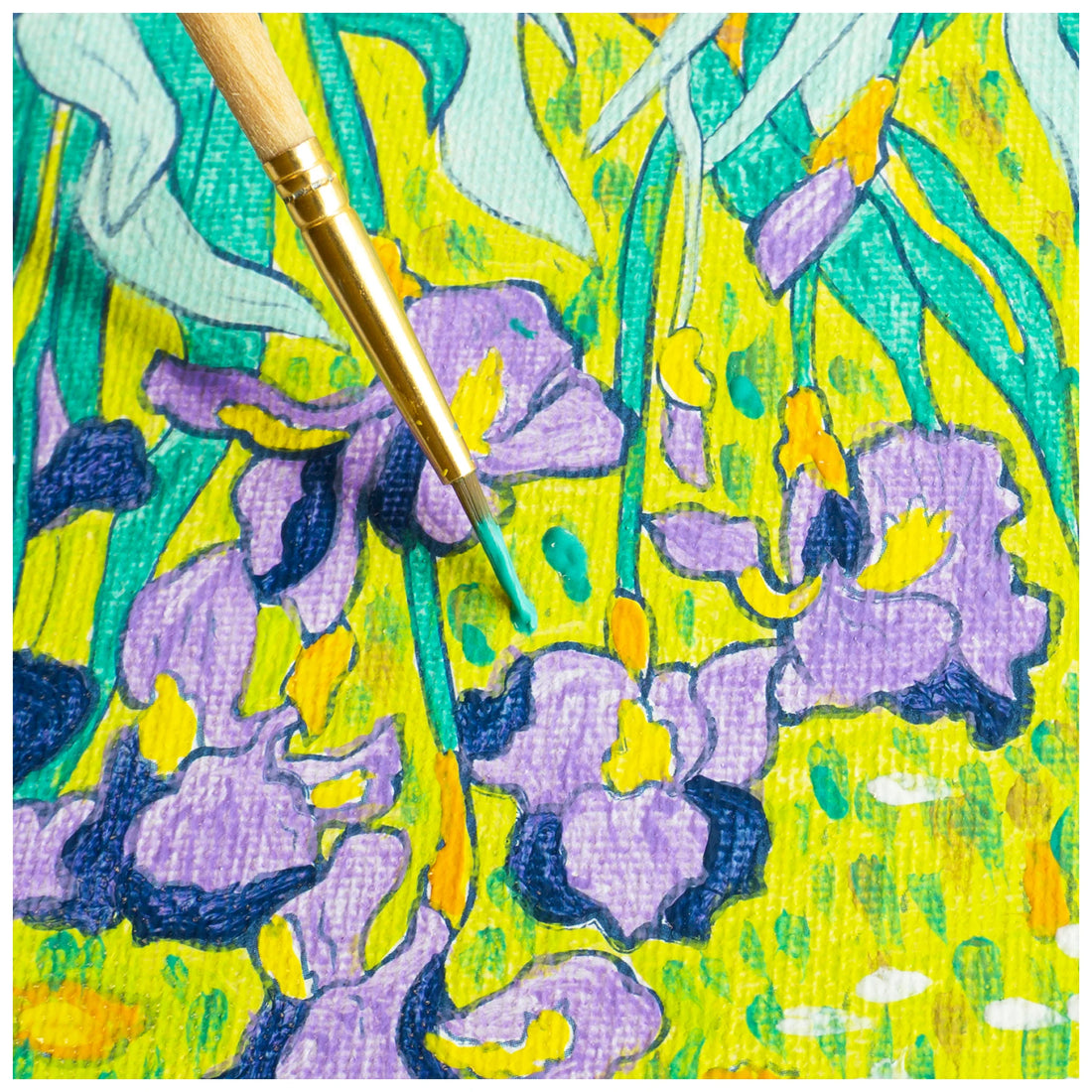 Paint By Number Irises Preview #4