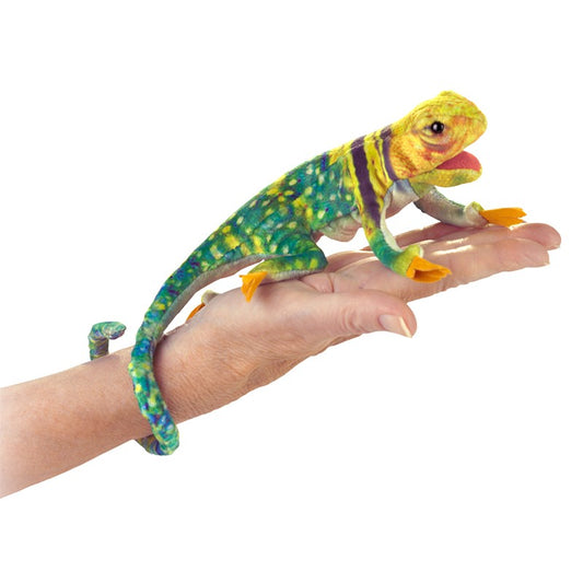 Tomfoolery Toys | Mini Collared Lizard Puppet