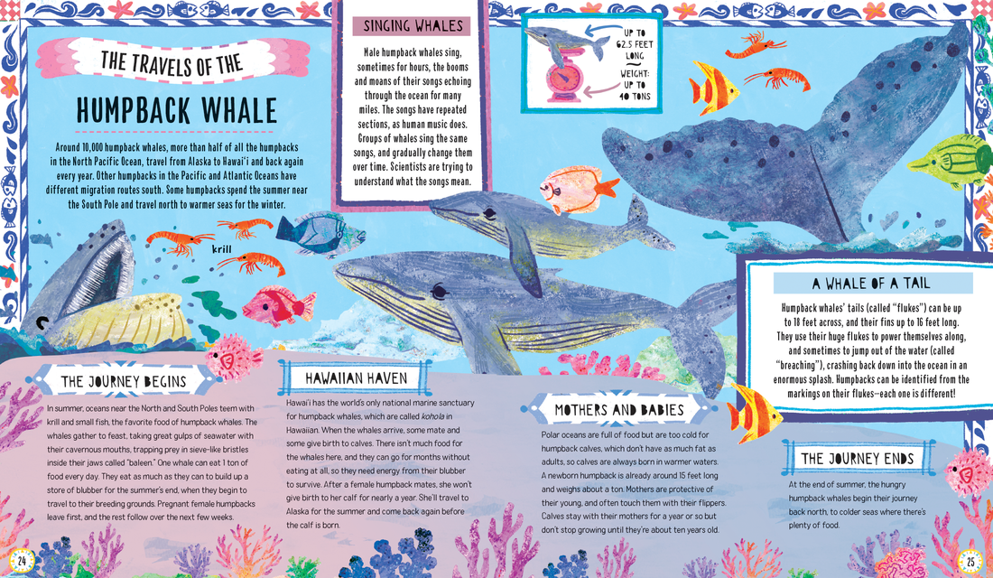 Maps for Penguins Preview #3